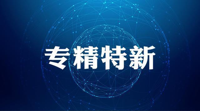 专精特新申报要求